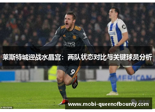 莱斯特城迎战水晶宫：两队状态对比与关键球员分析