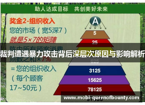 裁判遭遇暴力攻击背后深层次原因与影响解析 裁判遭遇暴力攻击背后深层次原因与影响解析