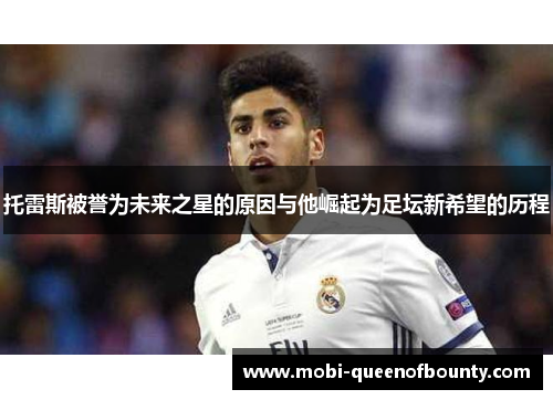 托雷斯被誉为未来之星的原因与他崛起为足坛新希望的历程