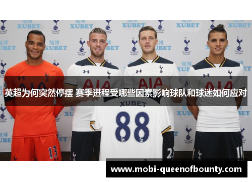 英超为何突然停摆 赛季进程受哪些因素影响球队和球迷如何应对