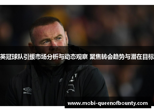 英冠球队引援市场分析与动态观察 聚焦转会趋势与潜在目标