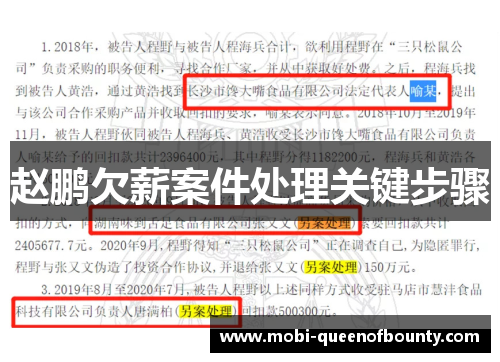 赵鹏欠薪案件处理关键步骤 赵鹏欠薪案件处理关键步骤