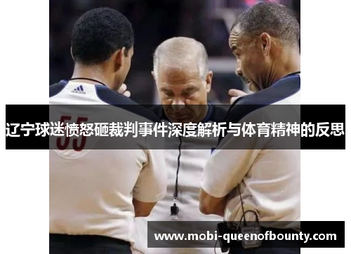 辽宁球迷愤怒砸裁判事件深度解析与体育精神的反思