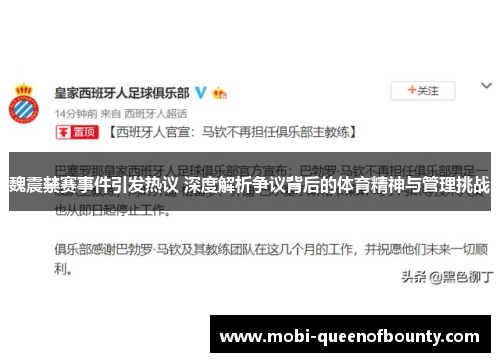 魏震禁赛事件引发热议 深度解析争议背后的体育精神与管理挑战